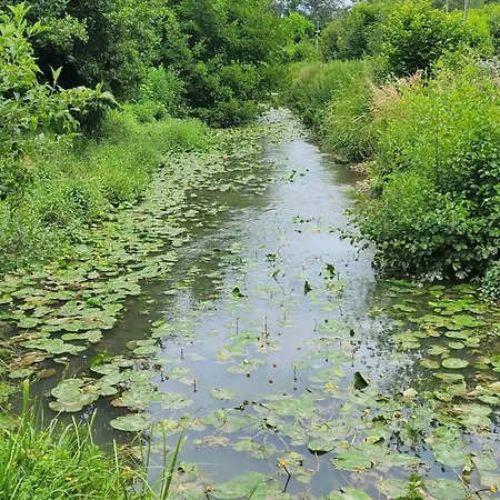 Riverside Bungalow, Villereal Rives (Lot-et-Garonne)
